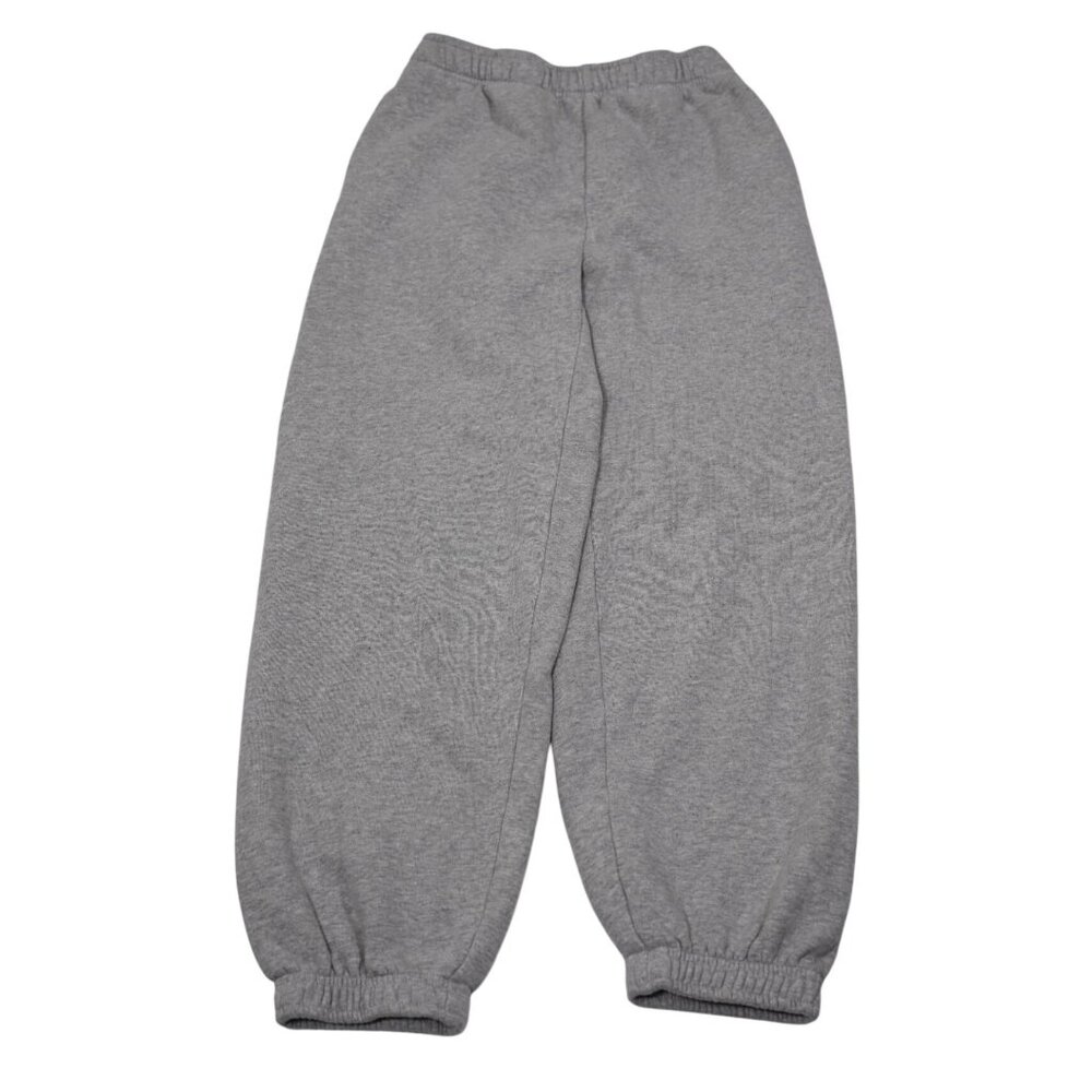 Aritzia Tna Sweatfleece MegaFit Joggers in Grey